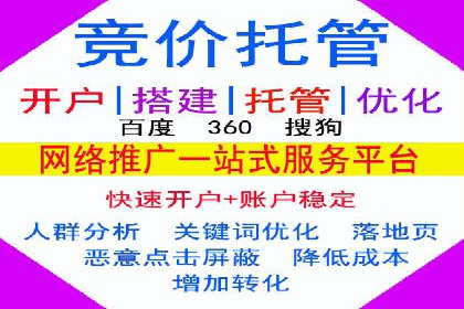 百度推广实战：成功企业的营销策略